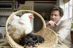 neobicna-zivotinjska-prijateljstva-28