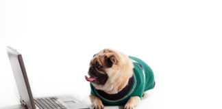 Kućni ljubimci i društvene mreže! kućni ljubimci i društvene mreže