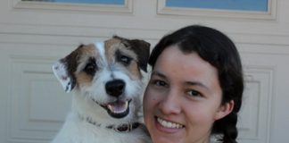 Uz ovog jack russell terijer psa vam preostaje samo ljenčarenje jack russell terijere Jesse